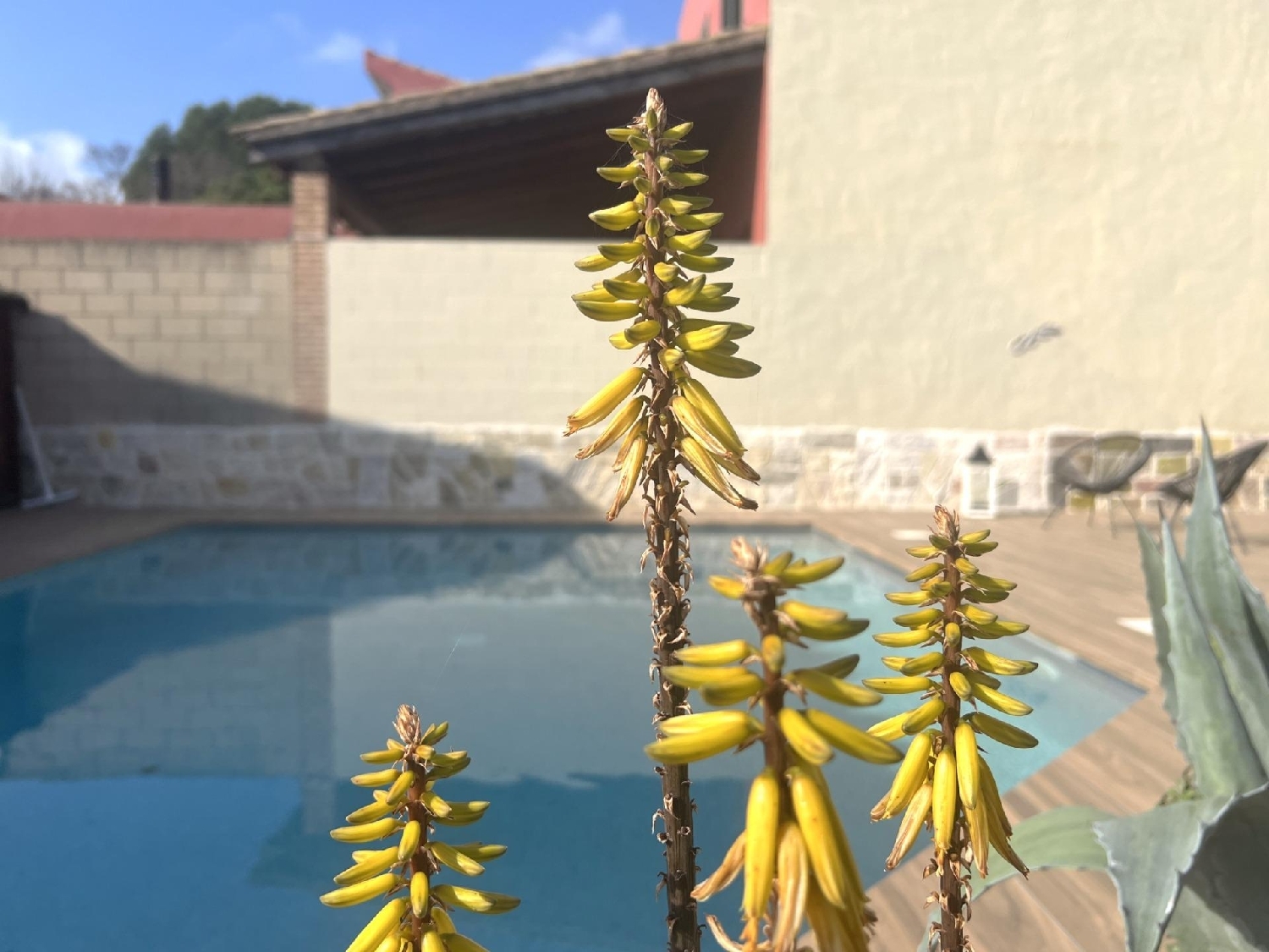  kaufen Haus L'armentera Alt Empordà 3