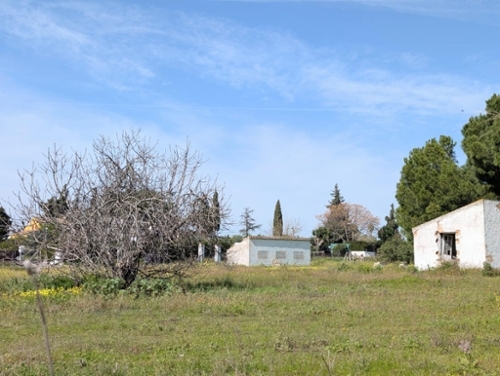 Los Encinares De Sanlucar La Mayor Aljarafe Haus Bild 6356411