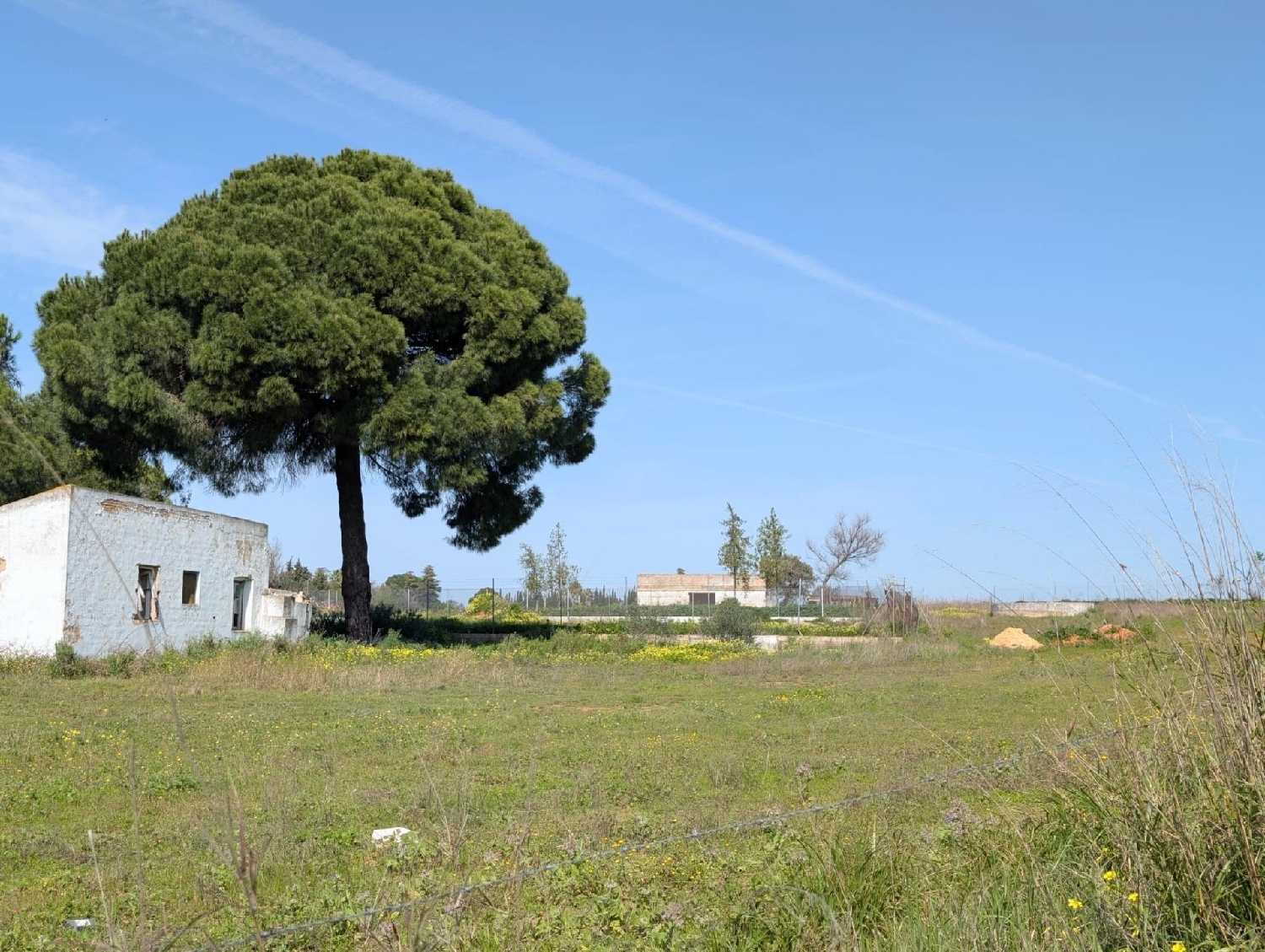  kaufen Haus Los Encinares De Sanlucar La Mayor Aljarafe 5