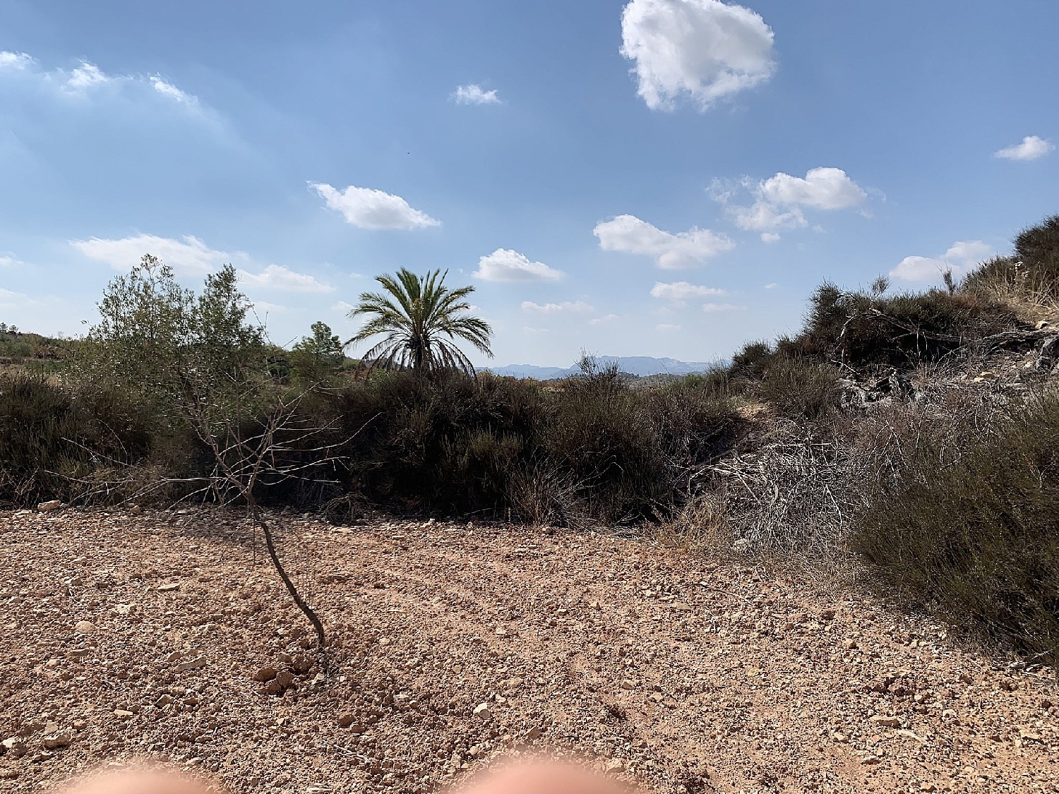  till salu hus Macisvenda Oriental 15