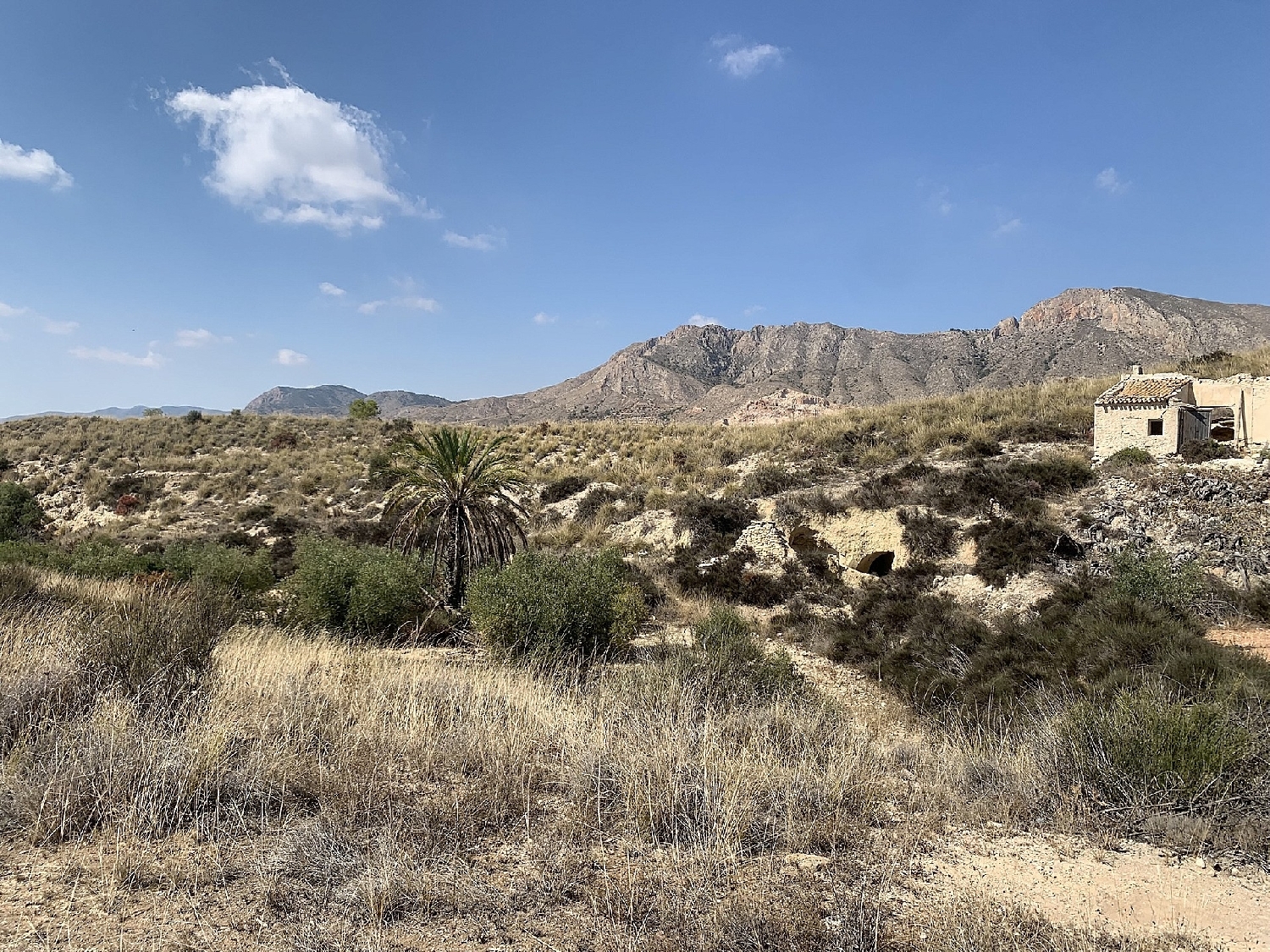  till salu hus Macisvenda Oriental 18