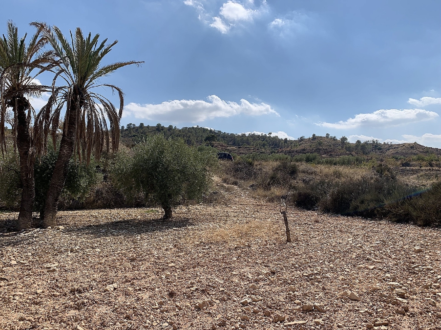  till salu hus Macisvenda Oriental 16