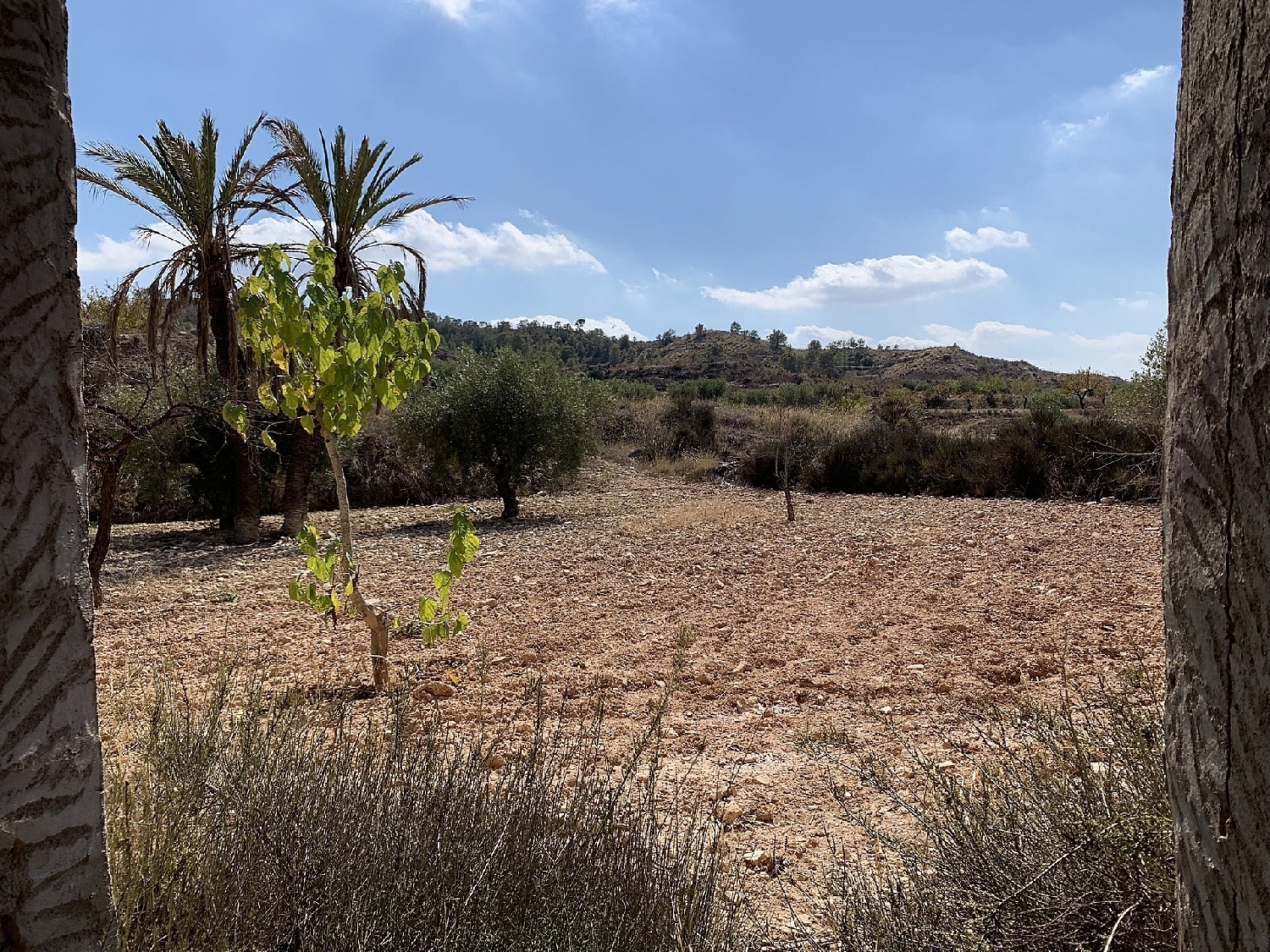  till salu hus Macisvenda Oriental 12