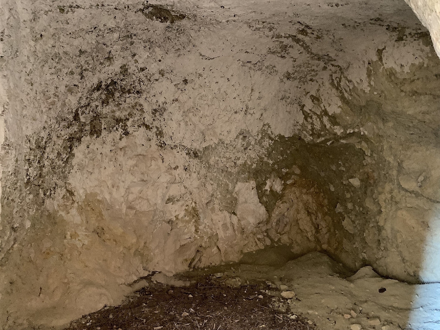  till salu hus Macisvenda Oriental 8