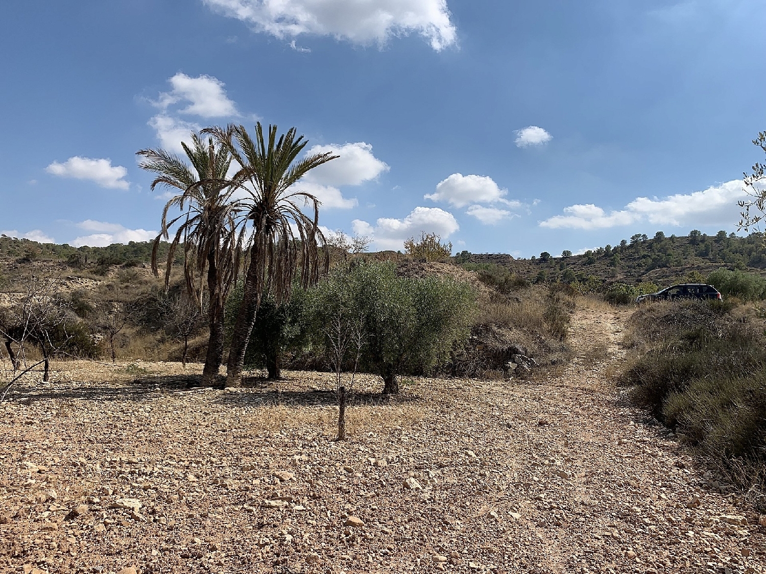  till salu hus Macisvenda Oriental 17