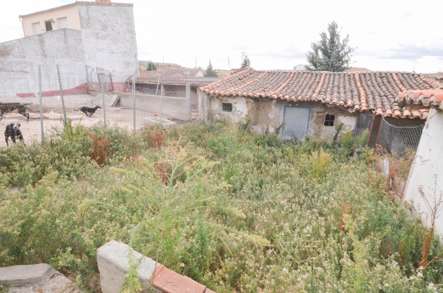  à vendre maison Macotera Tierra De Peñaranda 5