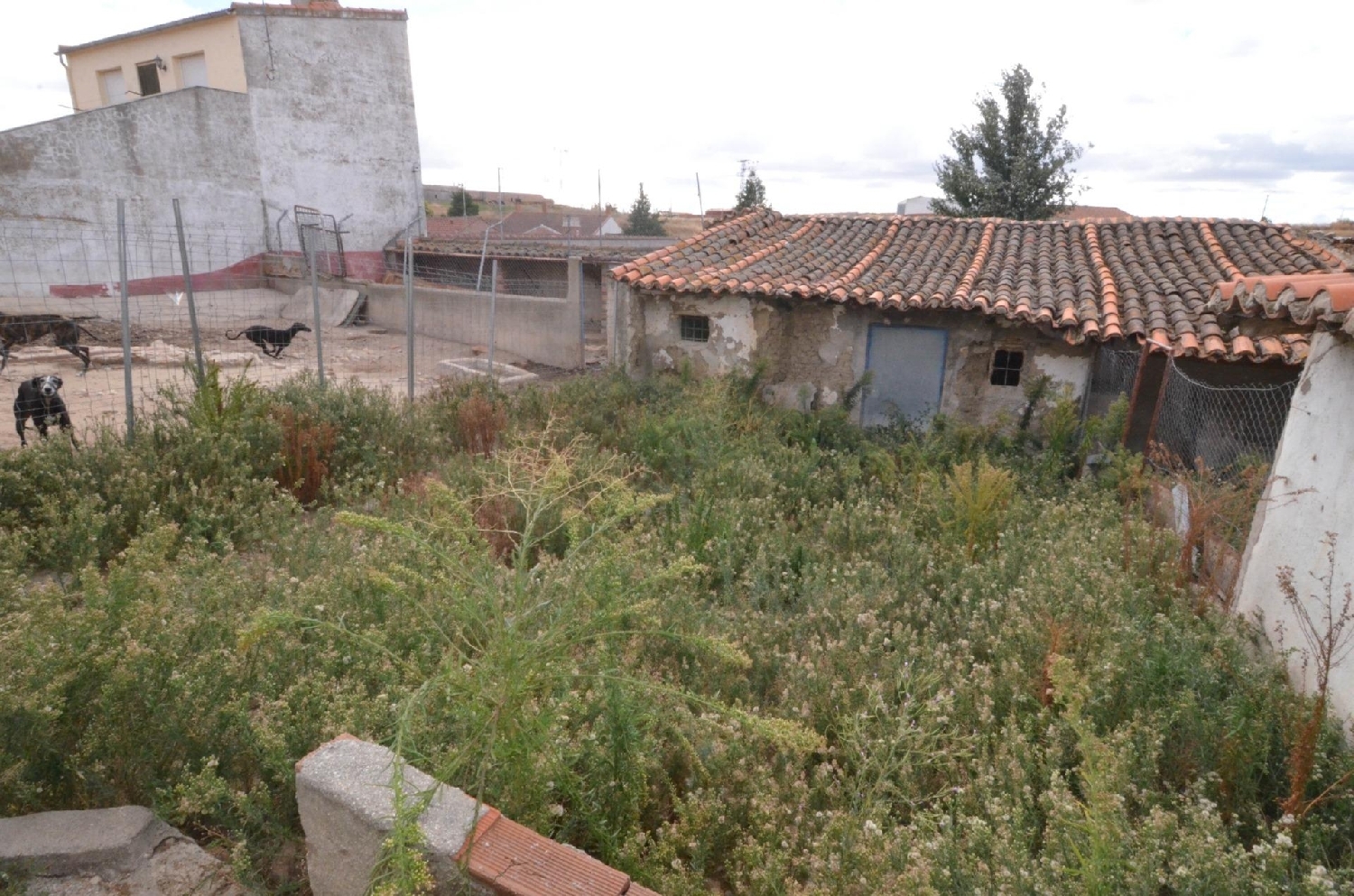  à vendre maison Macotera Tierra De Peñaranda 4