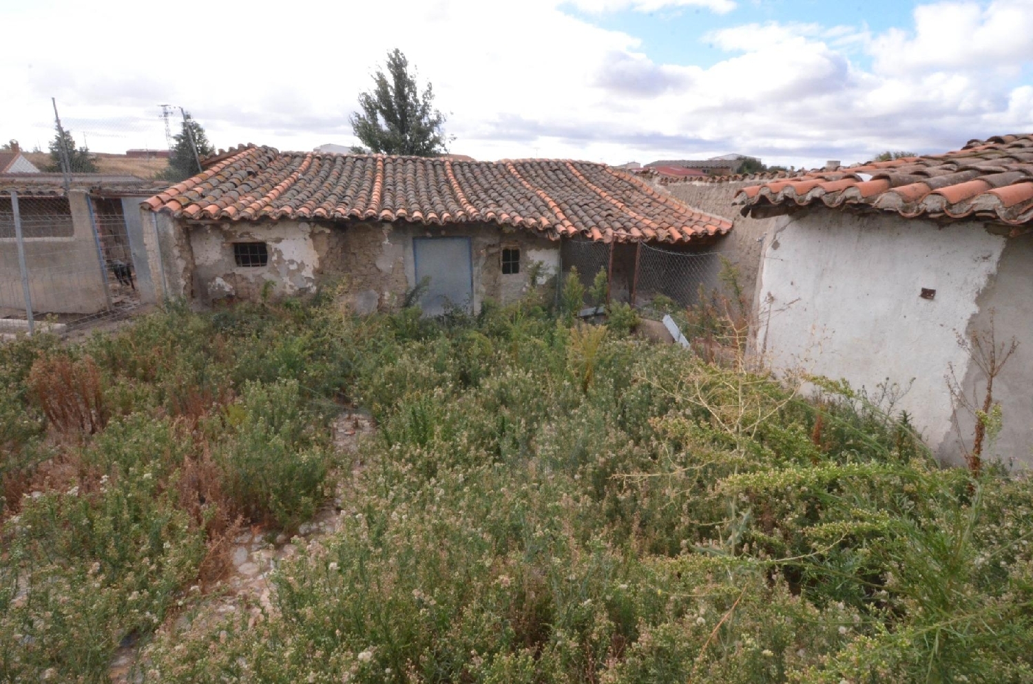  à vendre maison Macotera Tierra De Peñaranda 6