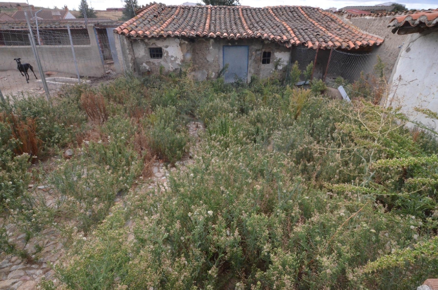  à vendre maison Macotera Tierra De Peñaranda 7