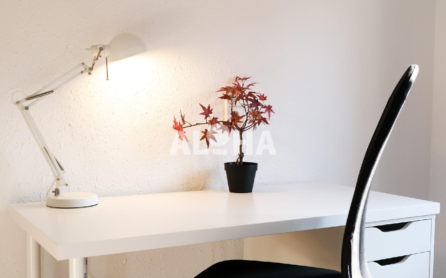  à vendre maison Moncada Horta Nord 3