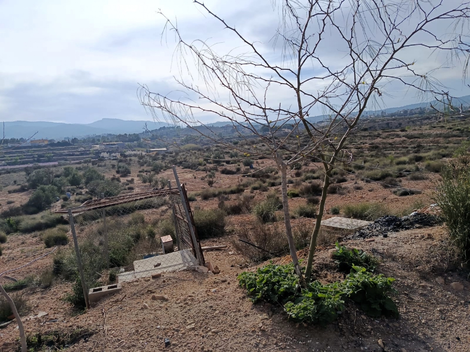  kaufen Haus Monóvar Vinalopó Mitjà 3