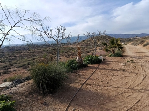 Monóvar Vinalopó Mitjà Haus foto