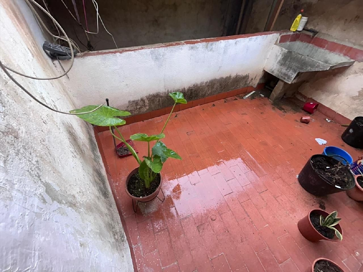  till salu hus Mula Río Mula 5