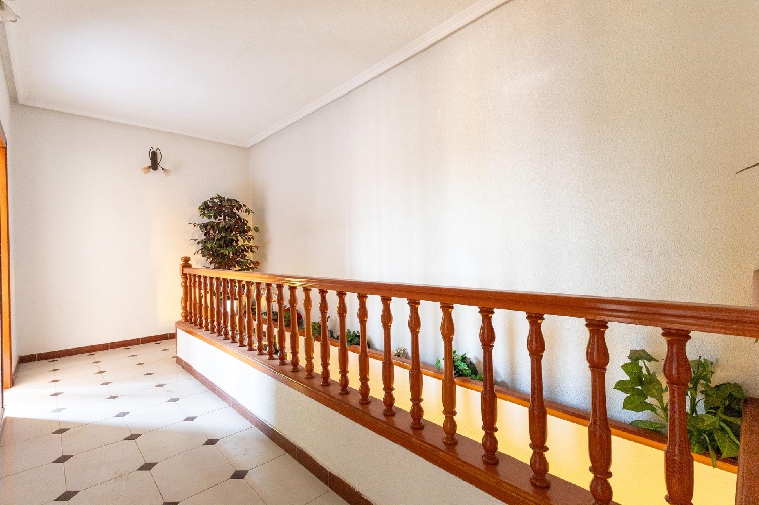  en venta casa Orihuela Baix Segura 7