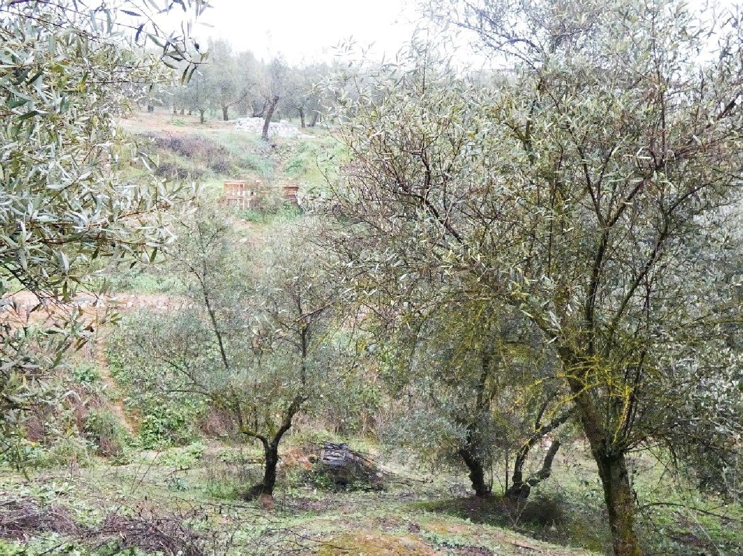  kaufen Haus Peligros Vega De Granada 5