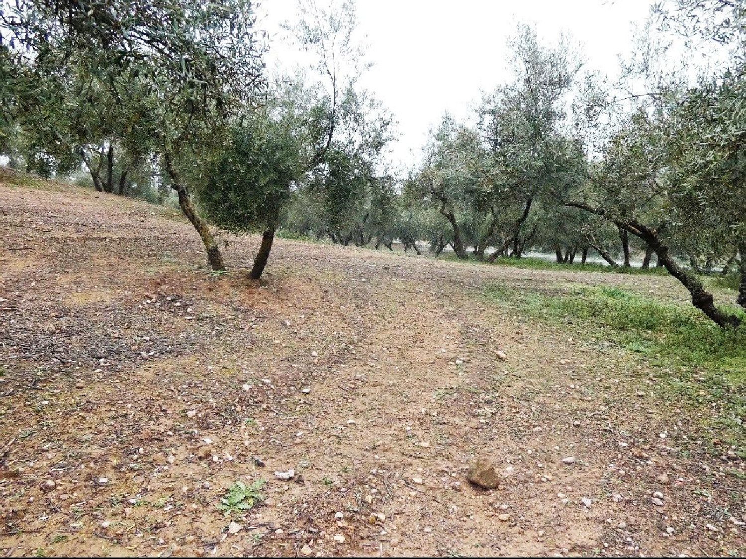  kaufen Haus Peligros Vega De Granada 3