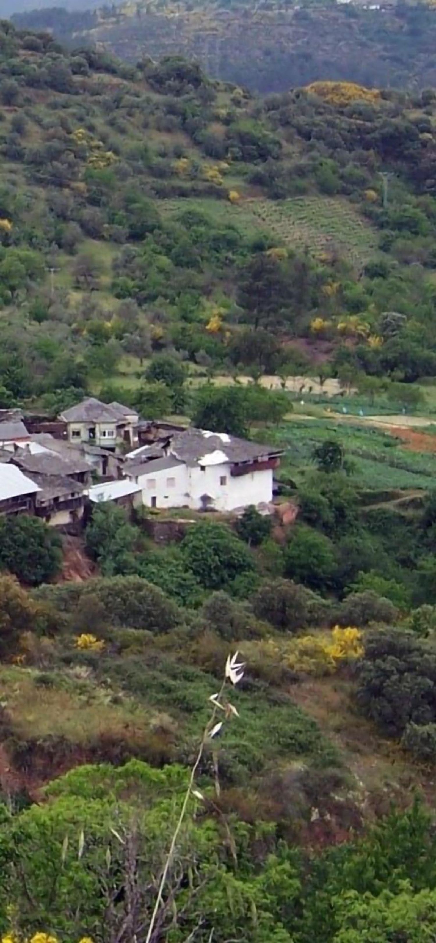  en venta casa Quiroga Quiroga 4