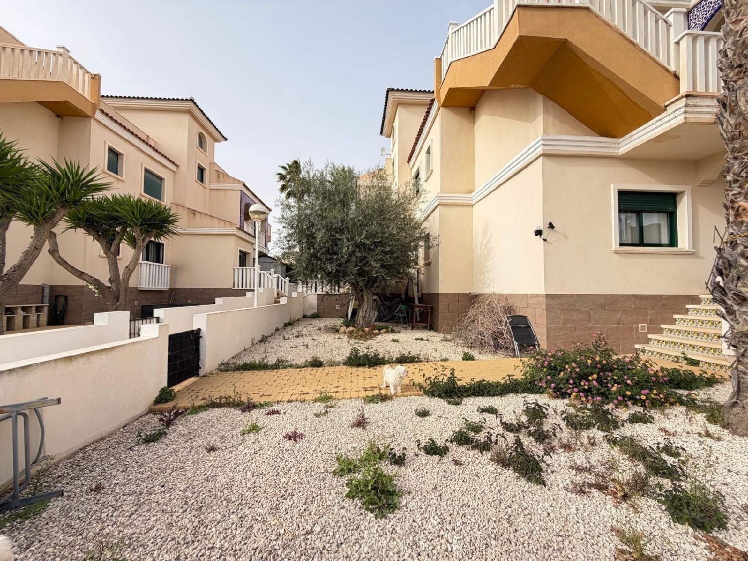  à vendre maison Rojales Baix Segura 7