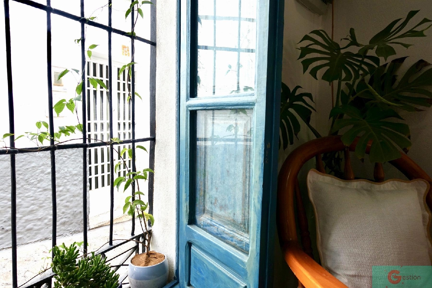 kaufen Haus Salobreña Costa Tropical 4