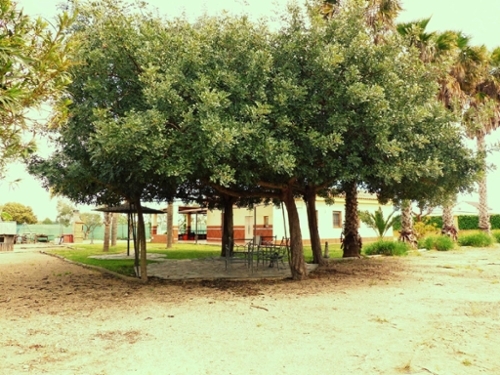 Sanlúcar De Barrameda Costa Noroeste casa foto 6367136