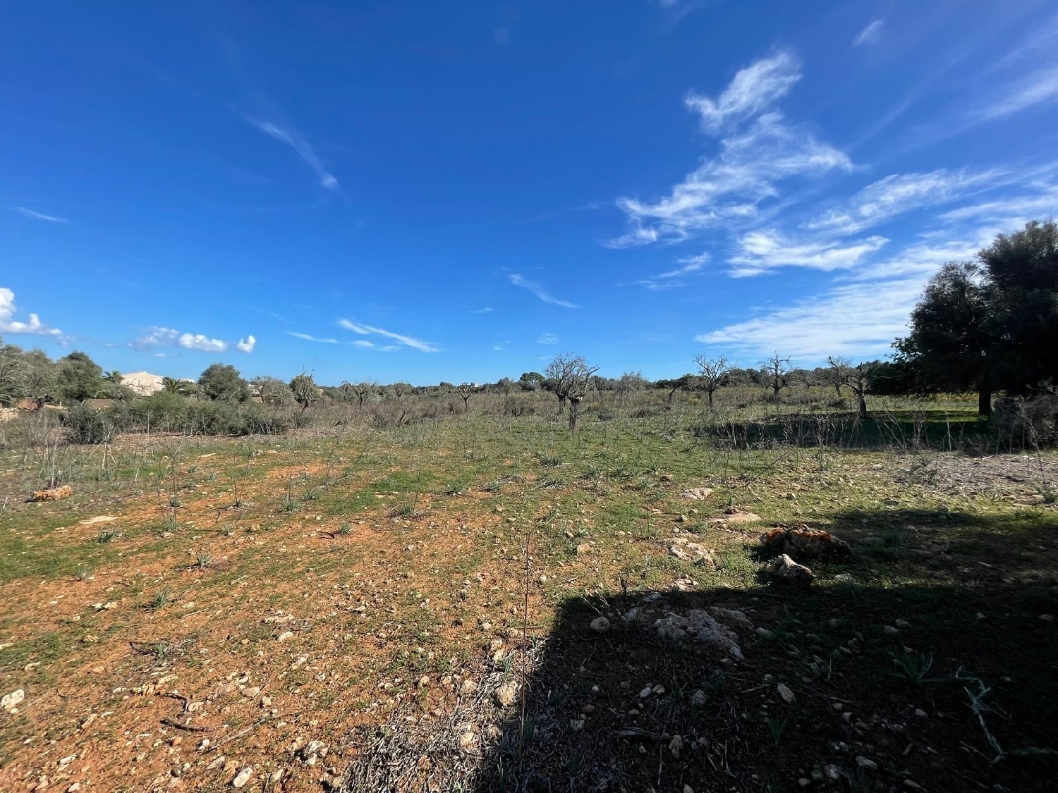 te koop huis Sant Jordi De Ses Salines Sant Josep De Sa Talaia 6