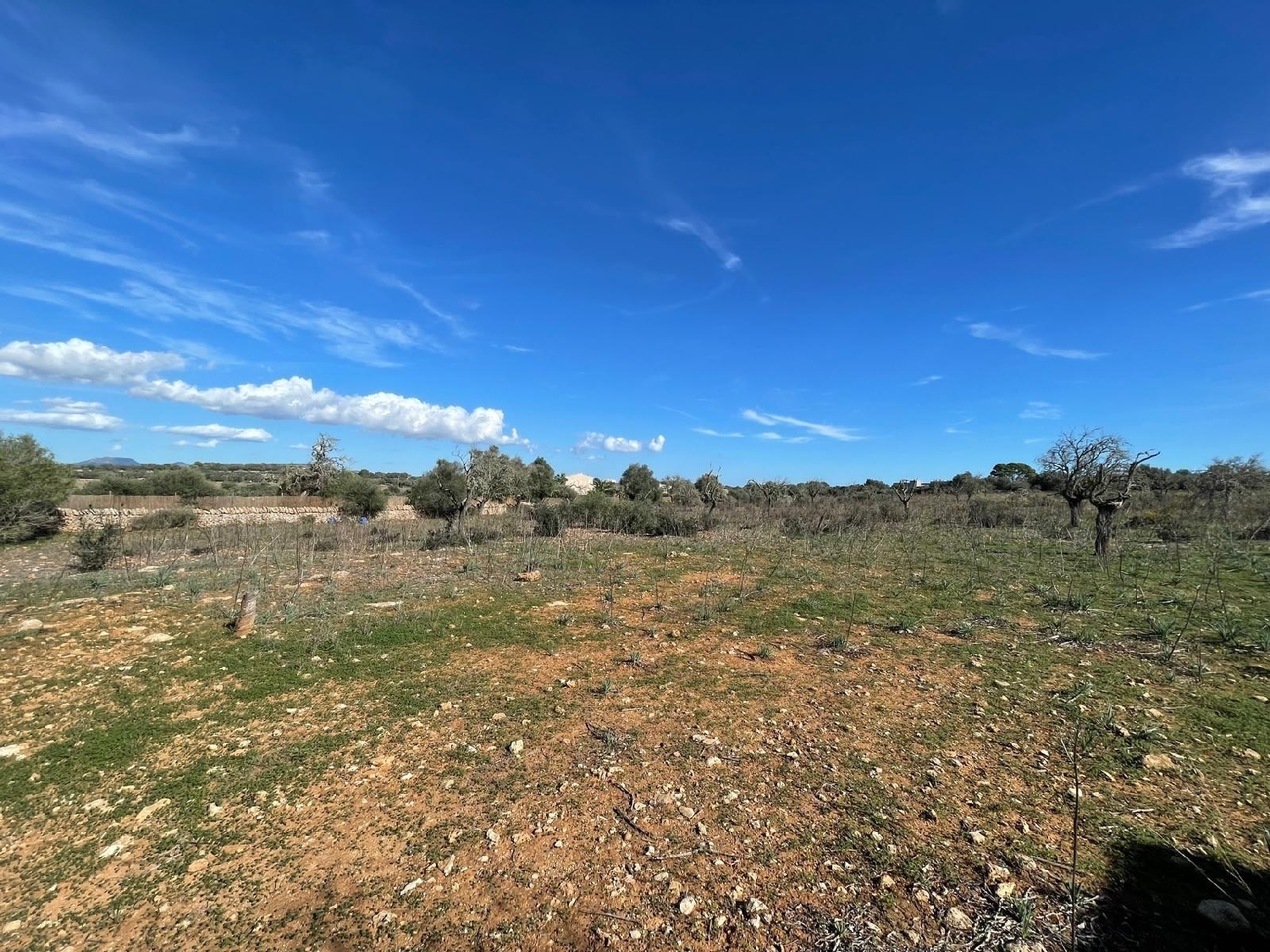 te koop huis Sant Jordi De Ses Salines Sant Josep De Sa Talaia 5