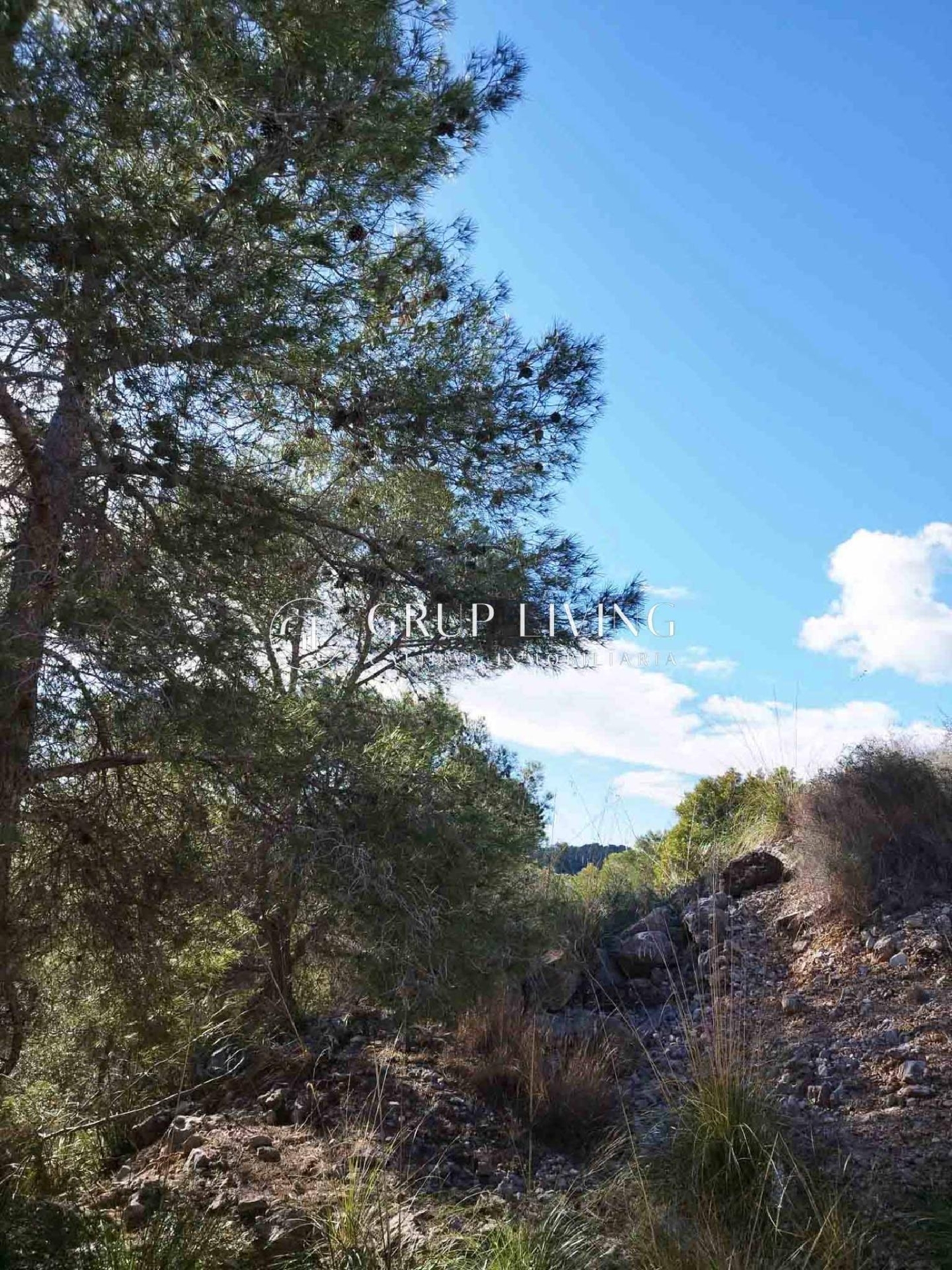  en venta casa Sant Pere De Ribes Garraf 7