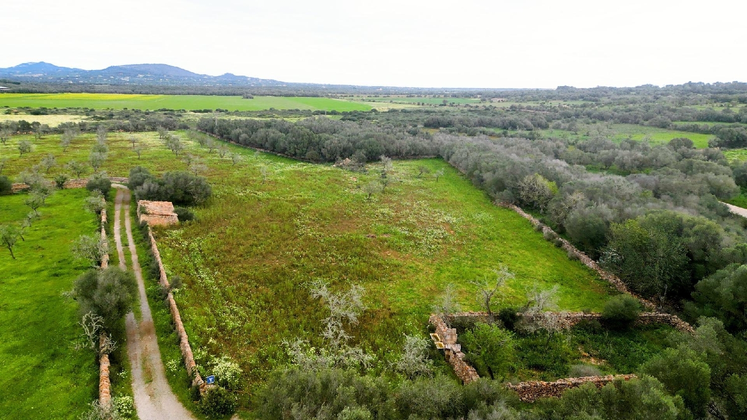  for sale house Ses Salines Sud 1