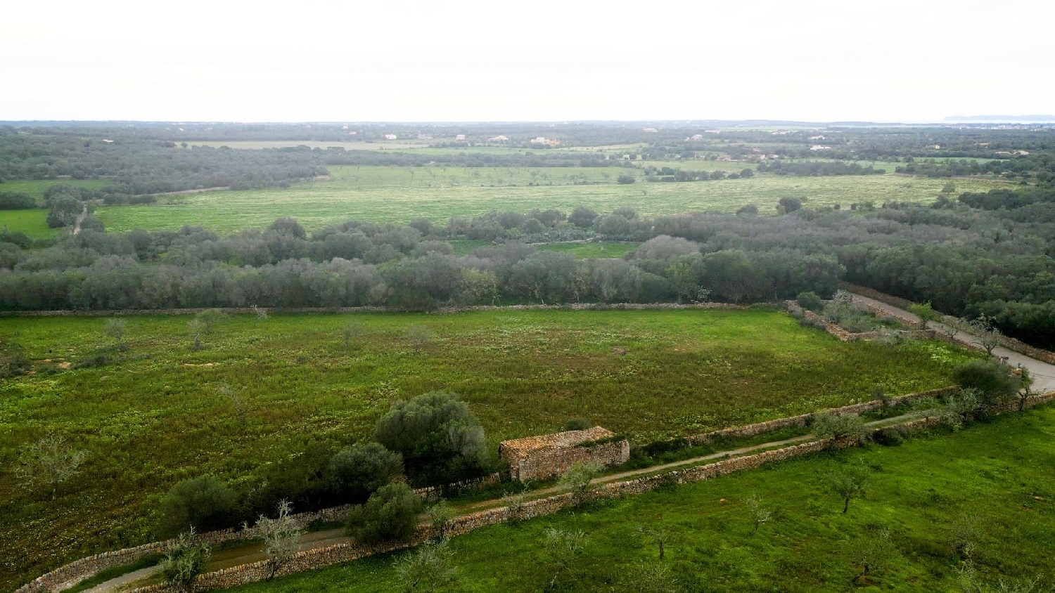  for sale house Ses Salines Sud 3