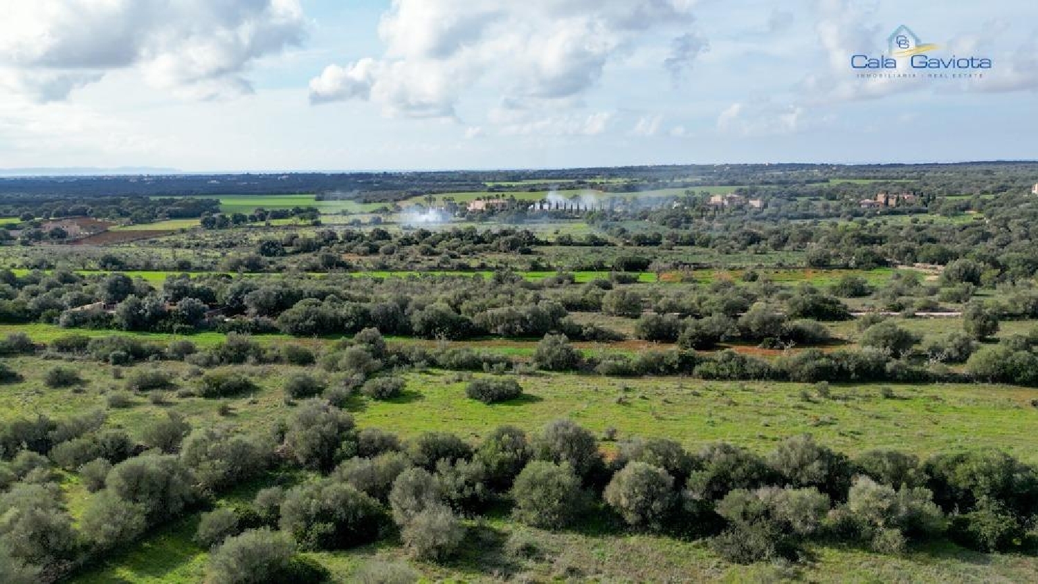  till salu hus Ses Salines Sud 5