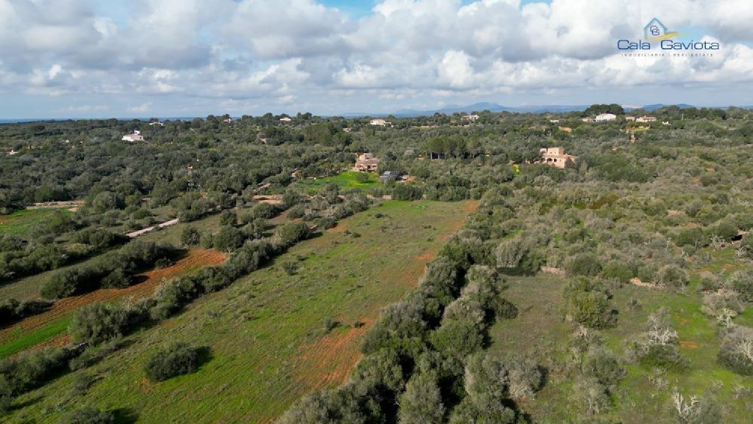  till salu hus Ses Salines Sud 2