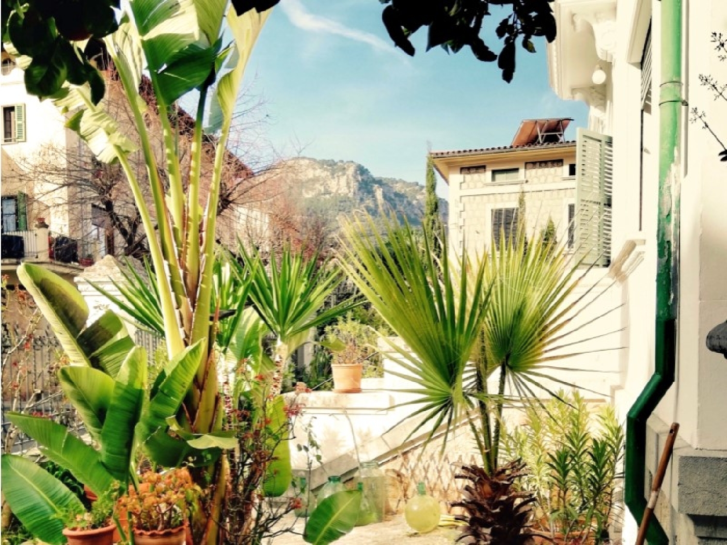  for sale house Sóller Tramuntana 5