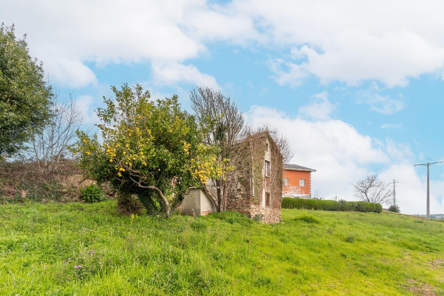  te koop huis Tapia De Casariego Eo-Navia 8