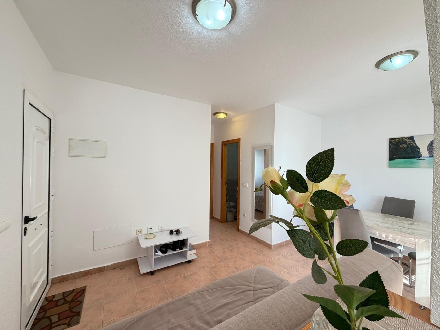  te koop huis Torrevieja Baix Segura 5