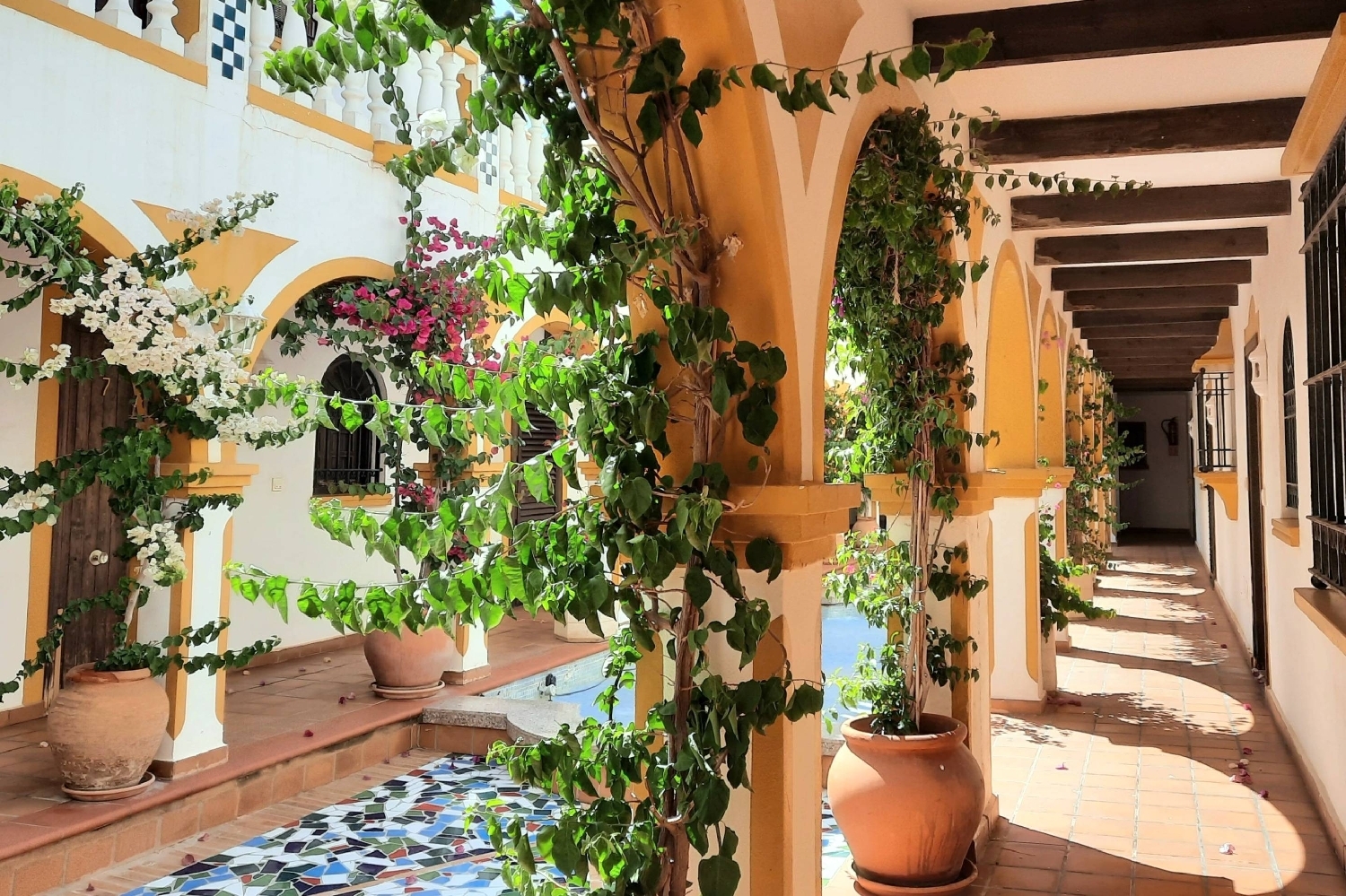  kaufen Haus Torrevieja Baix Segura 3