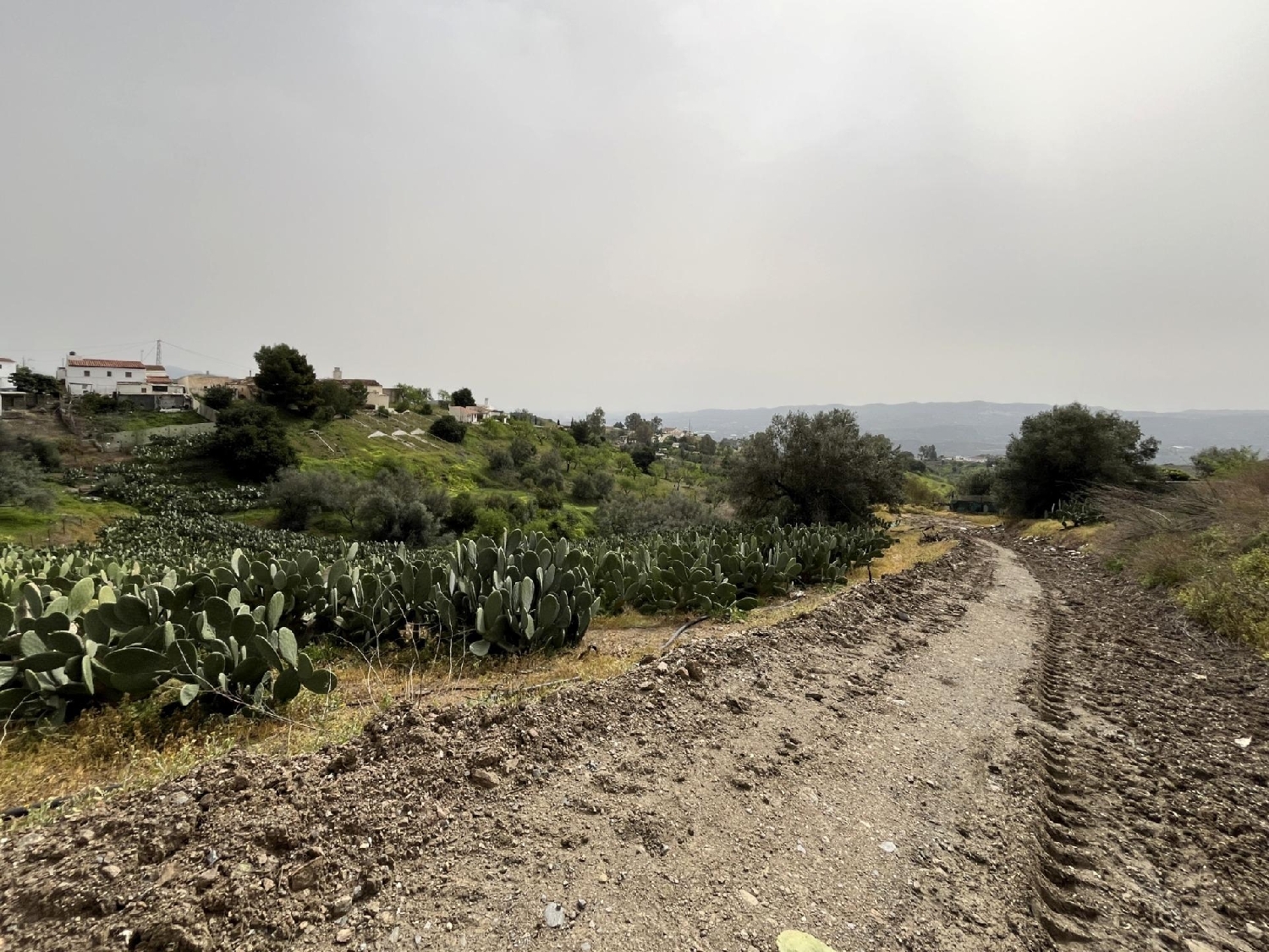  en venta casa Vélez Blanco Comarca De Los Vélez 5