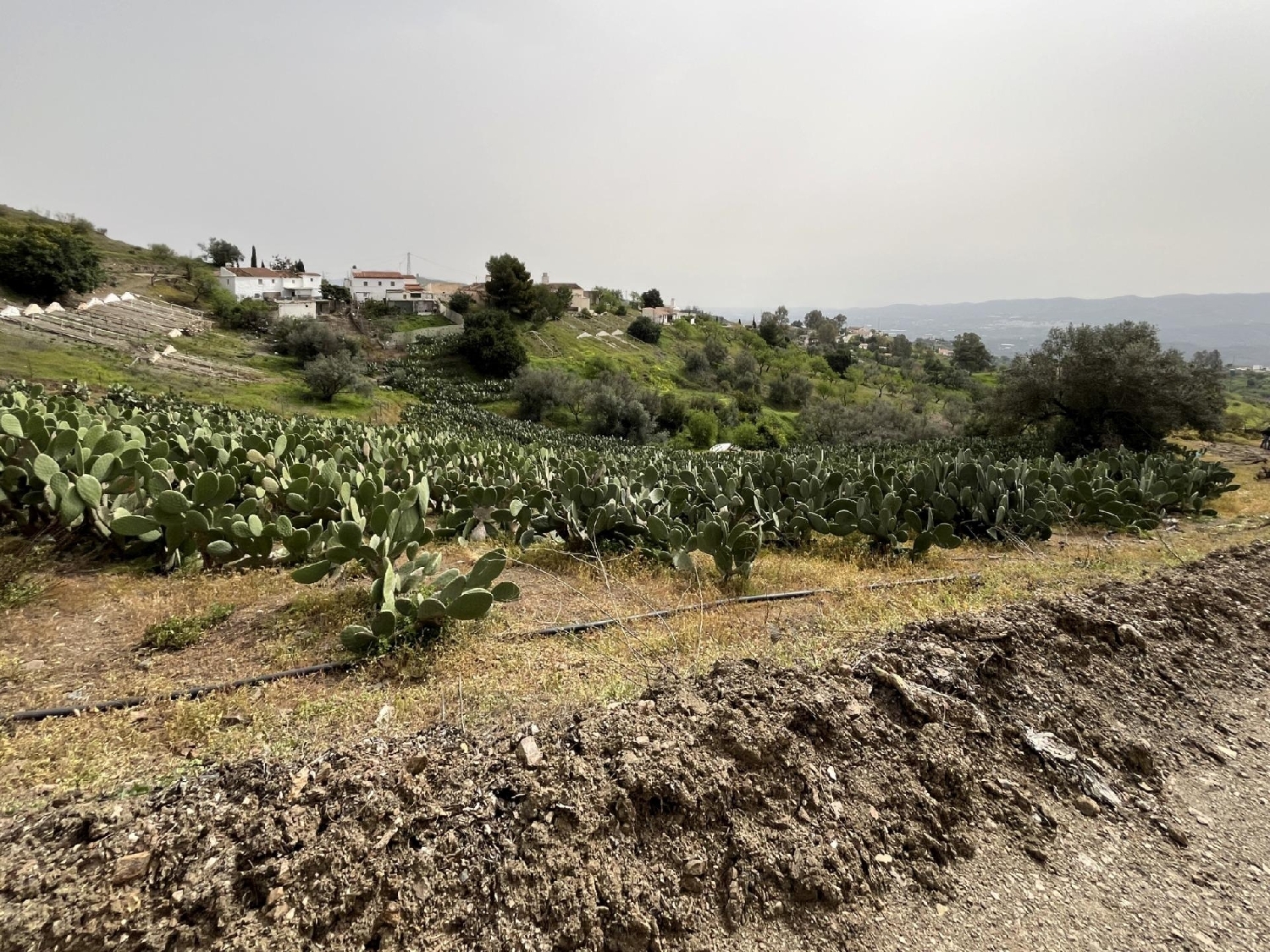  en venta casa Vélez Blanco Comarca De Los Vélez 4