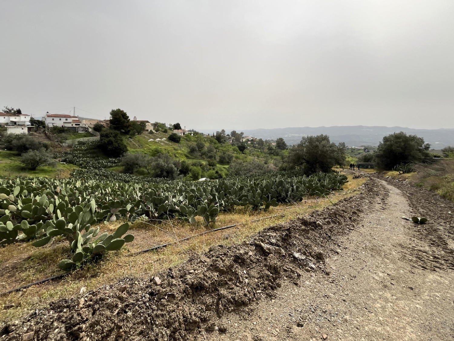  en venta casa Vélez Blanco Comarca De Los Vélez 3