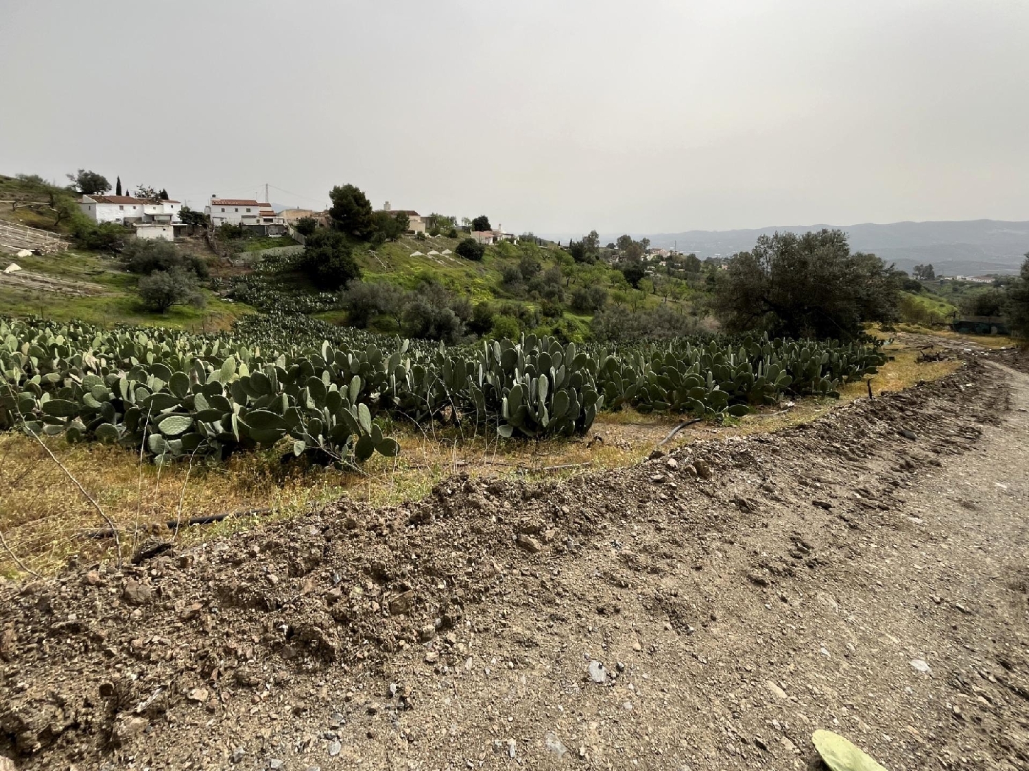  en venta casa Vélez Blanco Comarca De Los Vélez 6