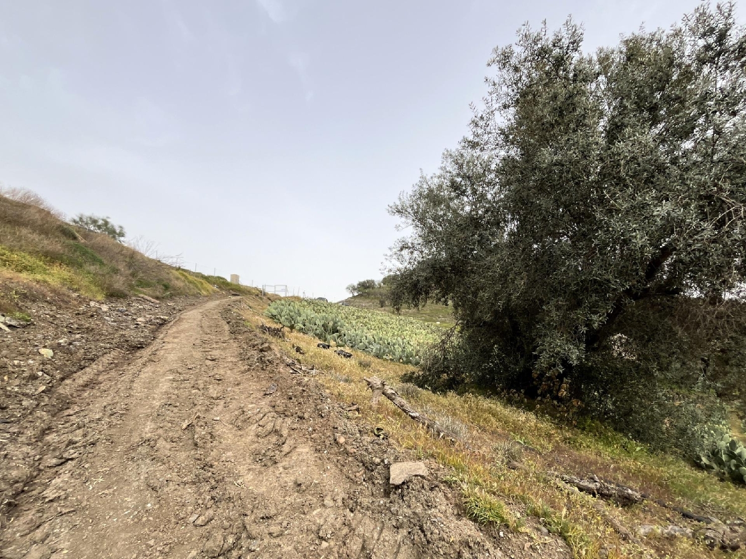  en venta casa Vélez Blanco Comarca De Los Vélez 8