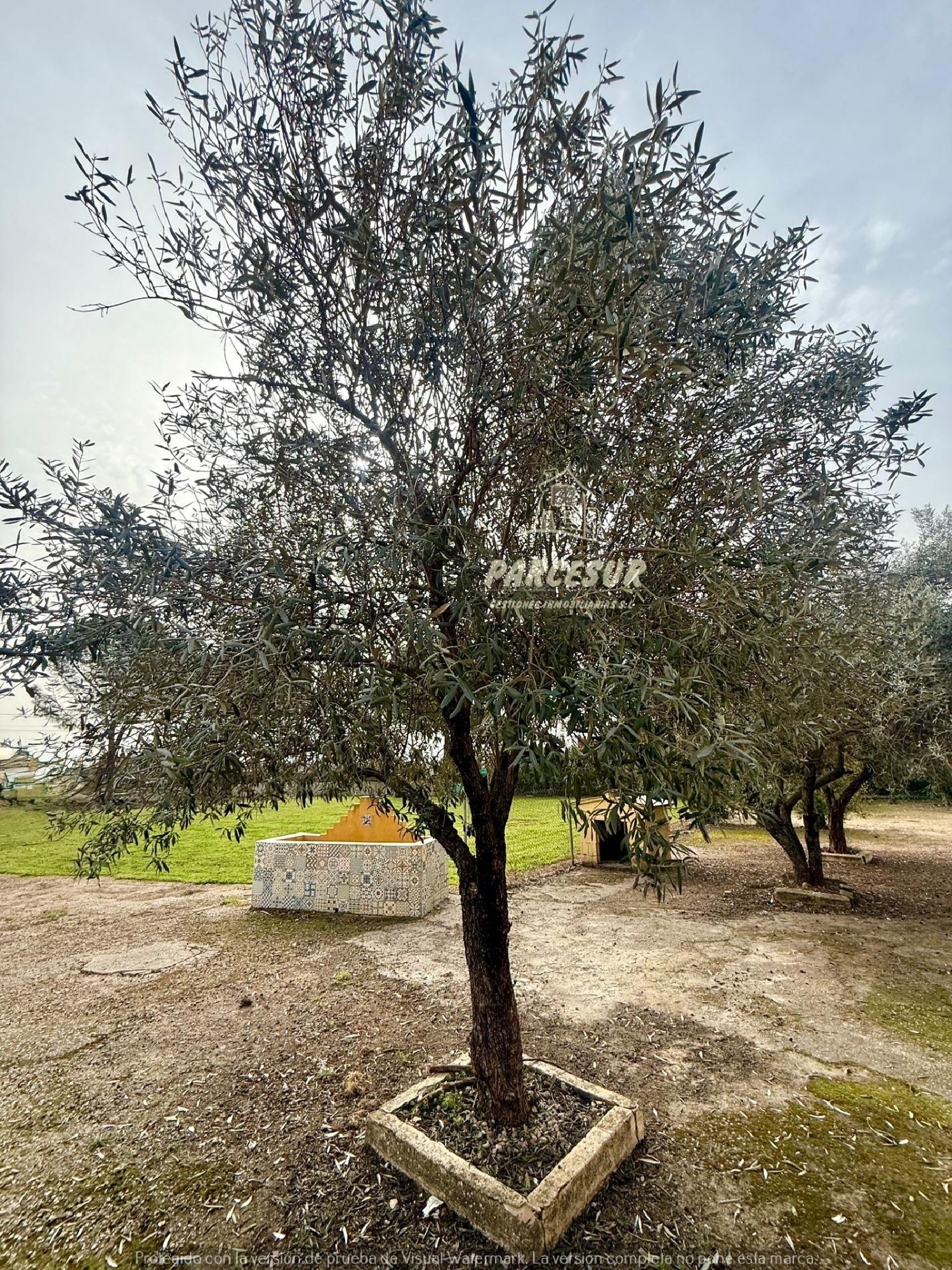  for sale house Villafranca De Córdoba Alto Guadalquivir 2