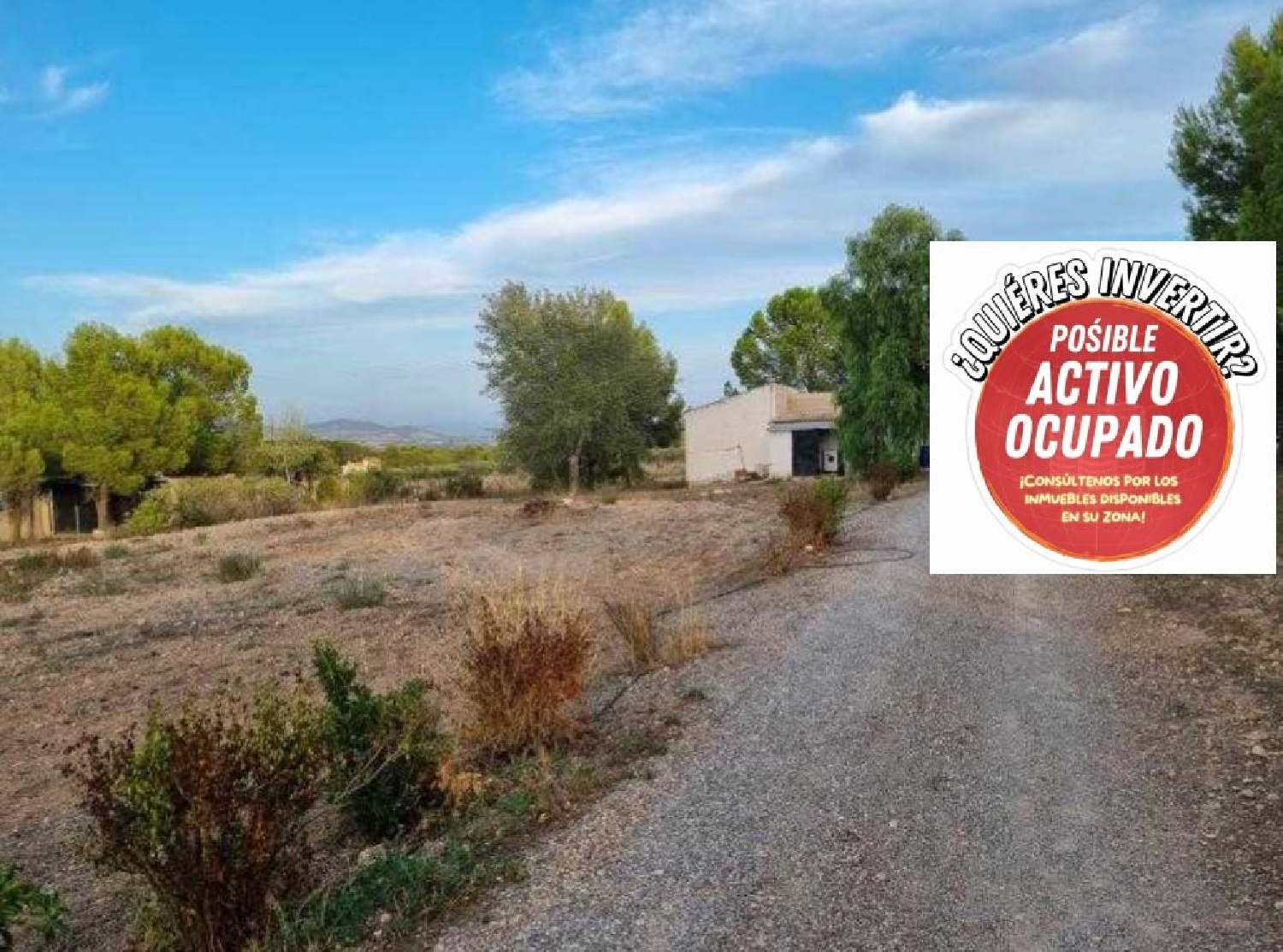  te koop huis Yecla Altiplano 1