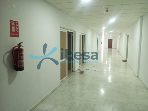 Monesterio Tentudia oficina foto 6356140