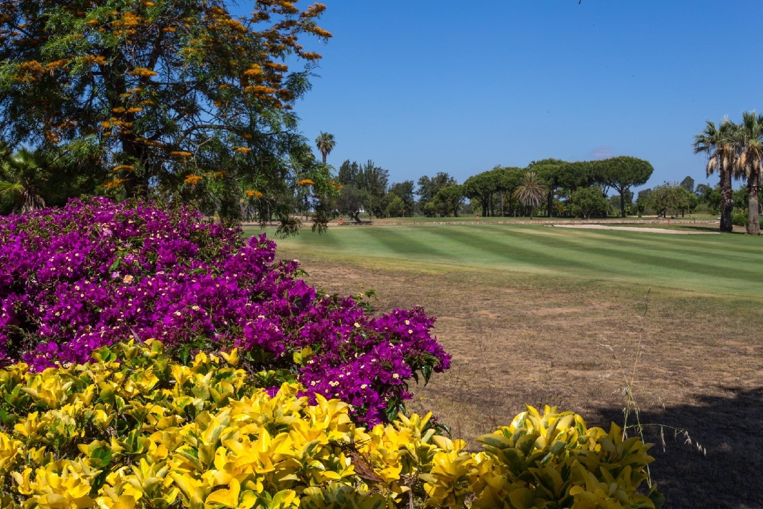  kaufen Penthouse Ayamonte Costa Occidental 1