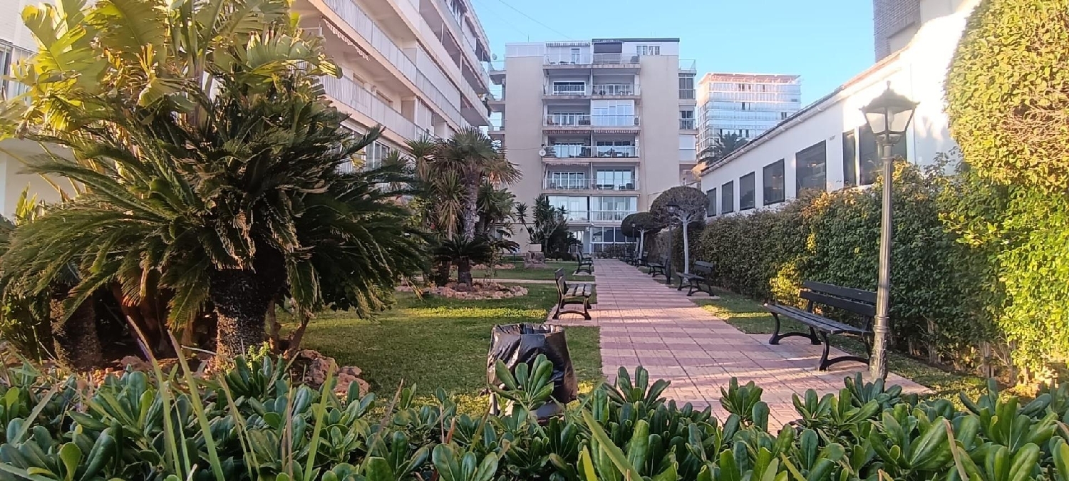  à vendre penthouse Benidorm (Centro) Marina Baixa 2