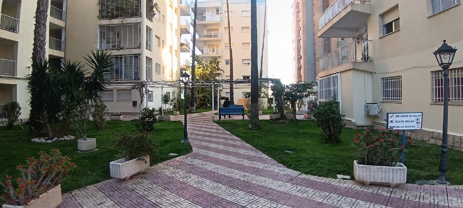  à vendre penthouse Benidorm (Centro) Marina Baixa 5