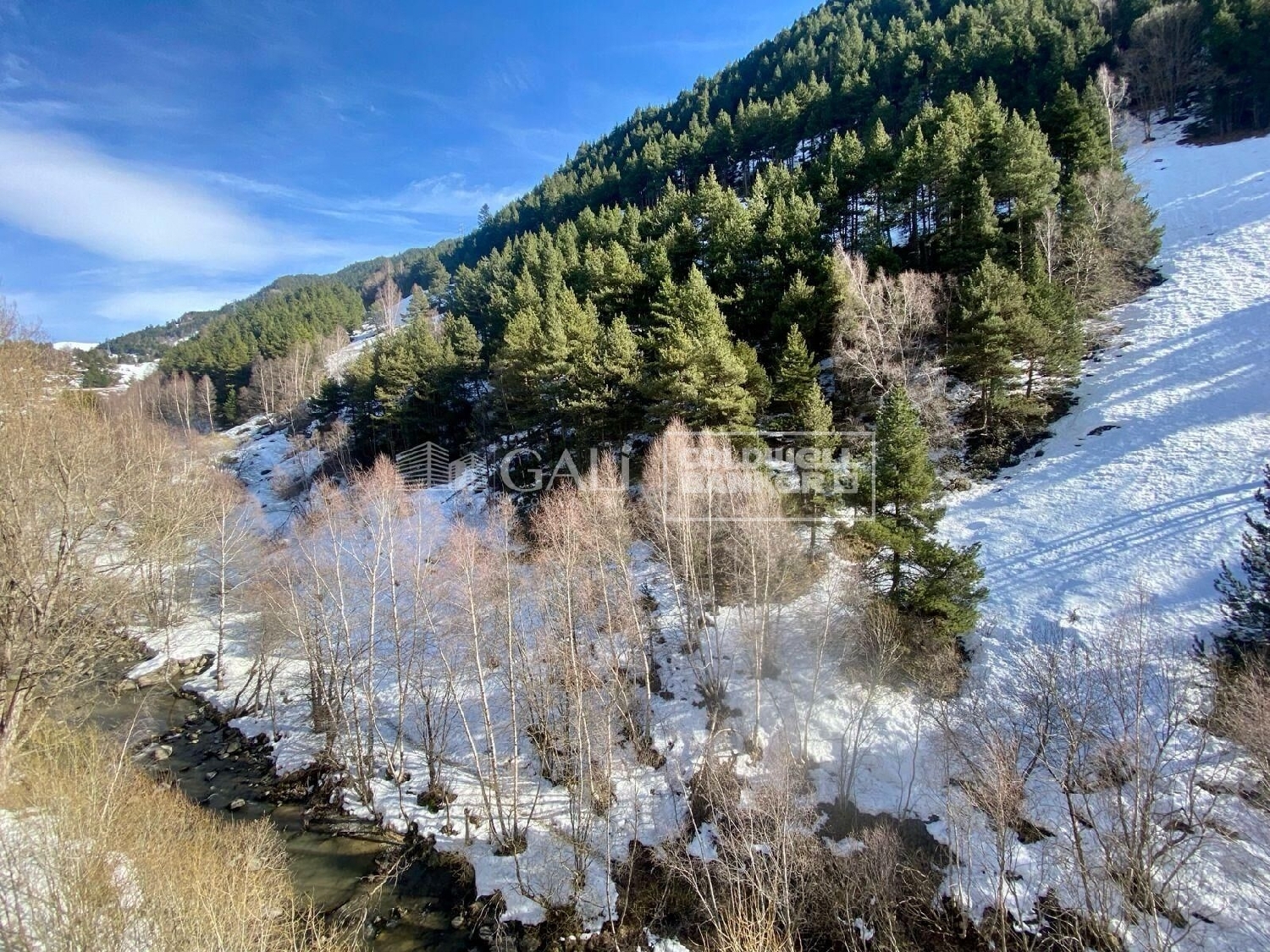  kaufen Penthouse Canillo Canillo 6