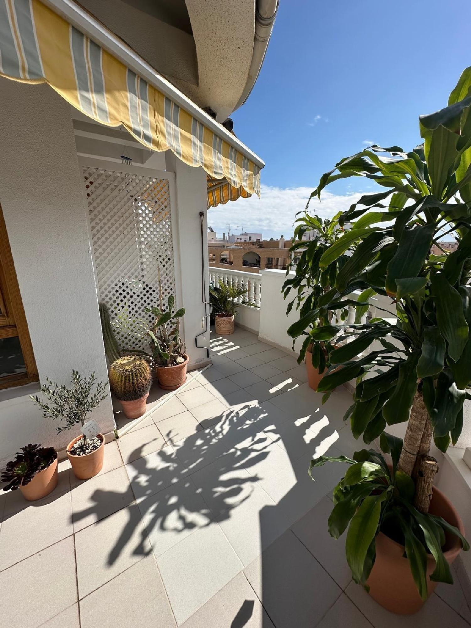  à vendre penthouse Torrevieja Baix Segura 5