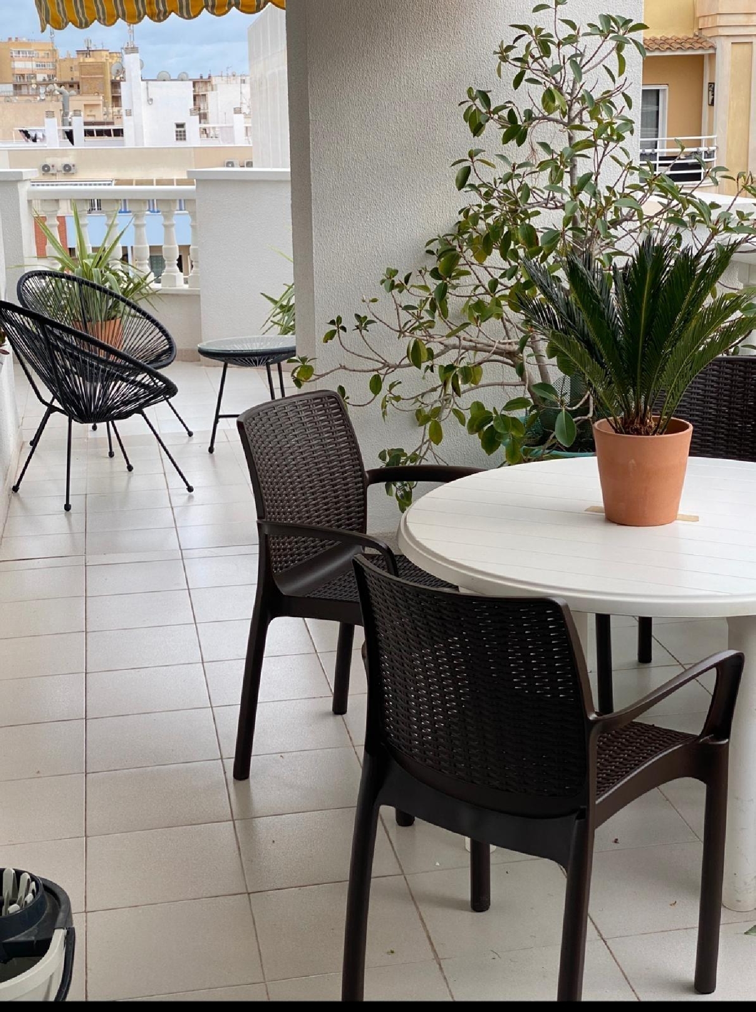  à vendre penthouse Torrevieja Baix Segura 6