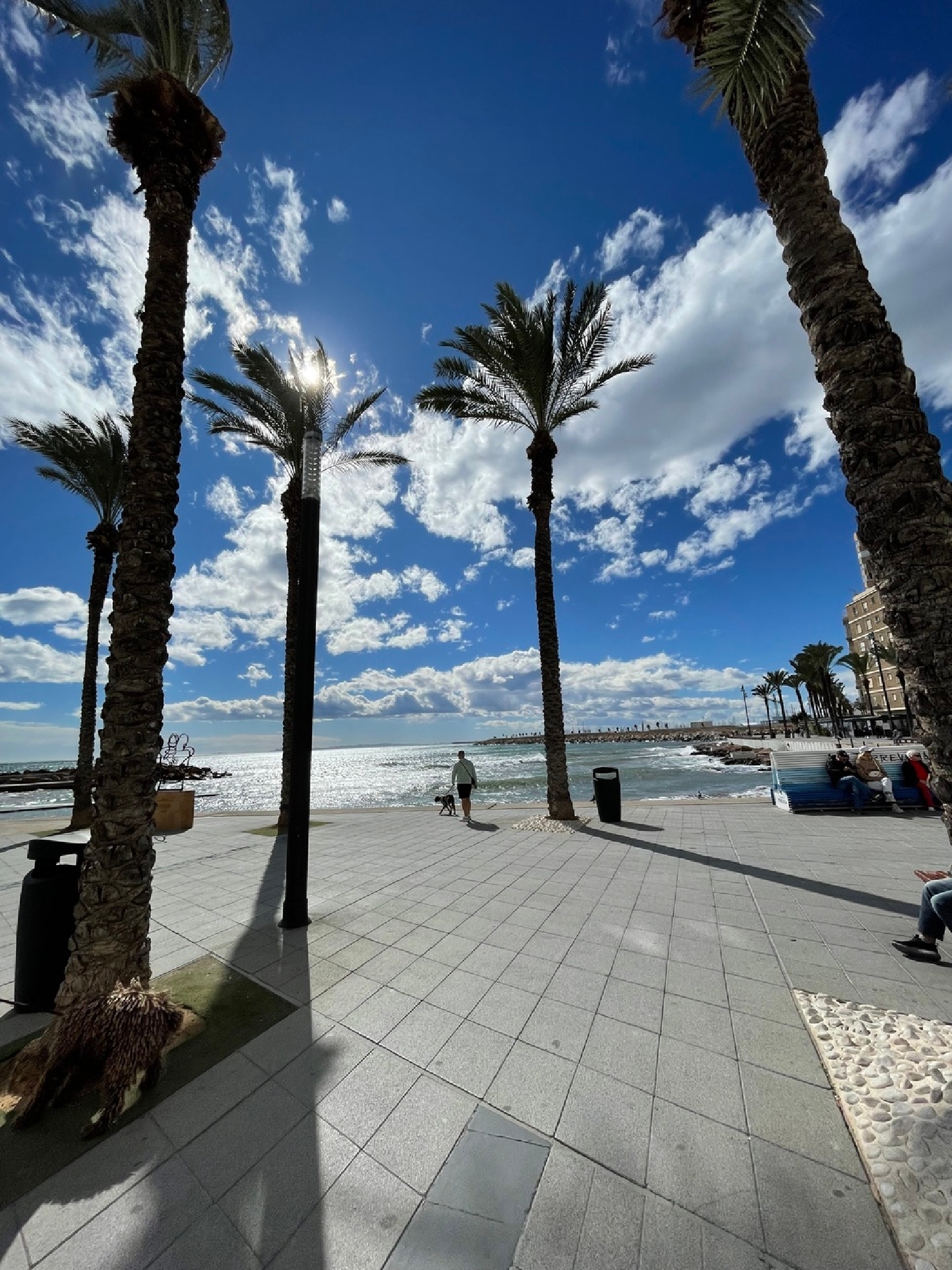  à vendre penthouse Torrevieja Baix Segura 3